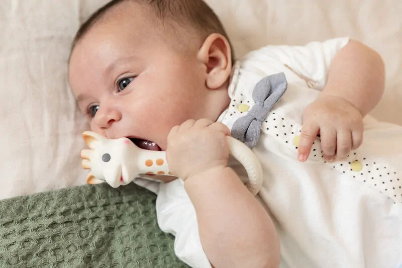 Sophie La Girafe ღრძილების მასაჟორი So pure