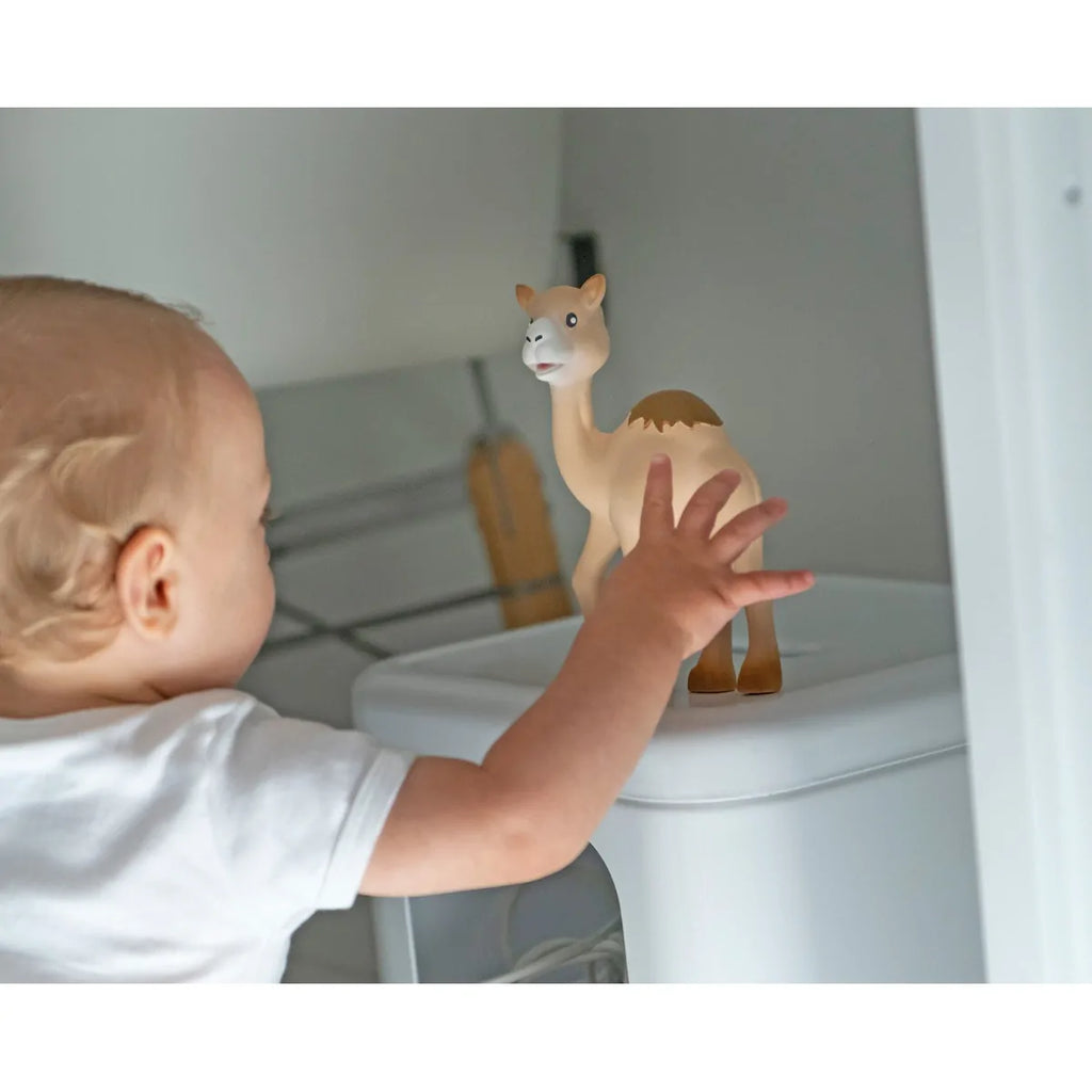 Sophie la girafe აქლემი Al'Thir IEUF